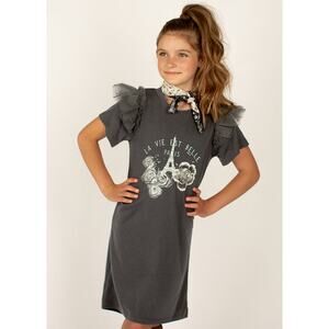 Joyfolie Mia Joy Peyton Dress in Charcoal Girl’s Size 6